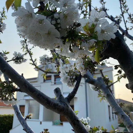 Cvita Βίλα Povljana