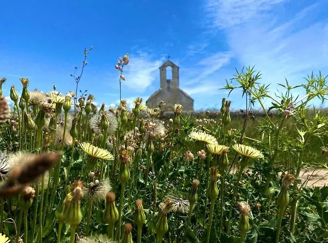 Cvita Villa Povljana