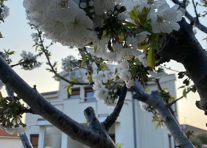 Cvita Villa Povljana