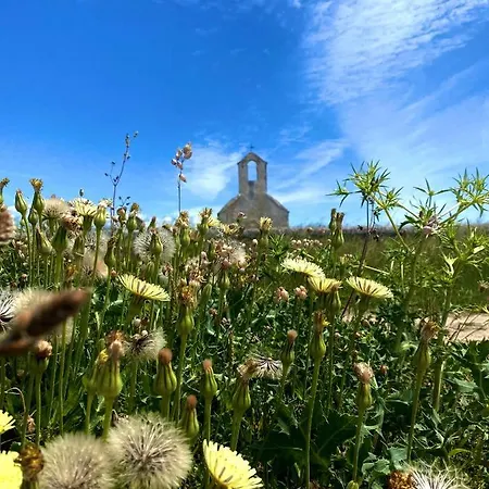 Cvita Villa Povljana