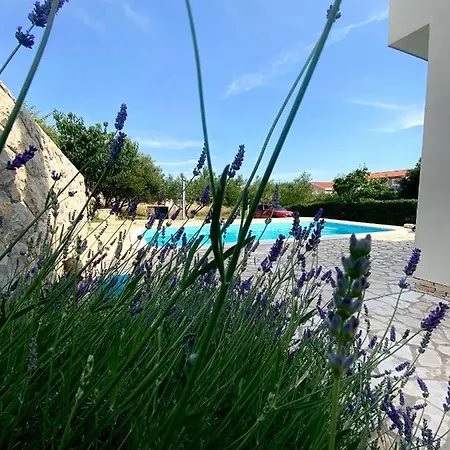 Cvita Villa