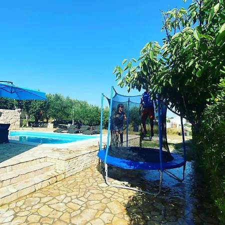 Cvita Povljana