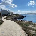 Cvita Povljana