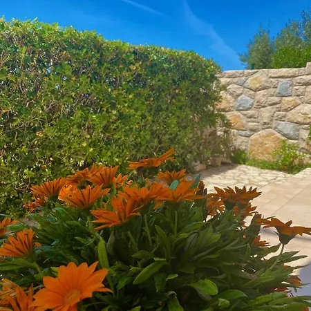 Villa Cvita Povljana