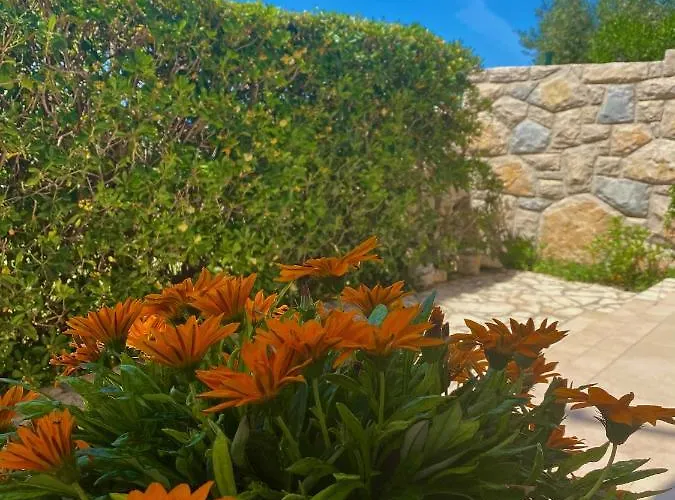 Willa Cvita Povljana